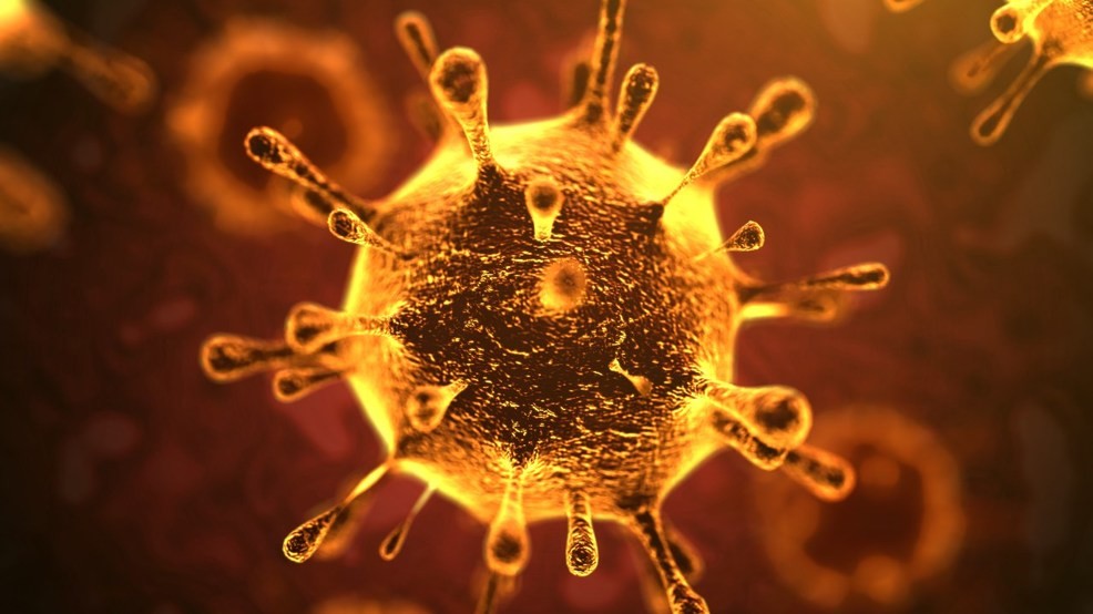 coronavirus